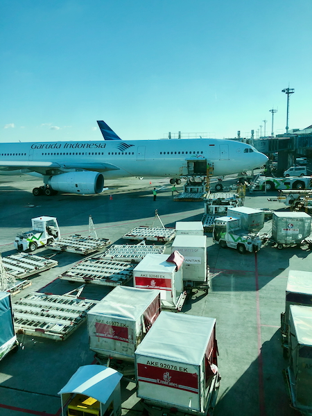 駐機しているガルーダ・インドネシア航空の機体